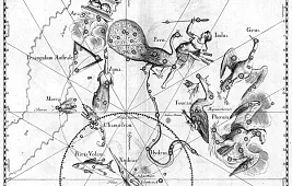 Самая яркая звезда созвездия Золотая Рыба