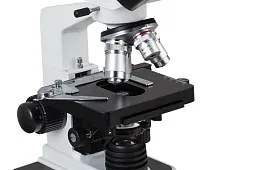 Рот пиявки под микроскопом