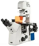 Микроскоп биологический инвертированный Dr.Focal SBM-8I