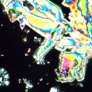 Микроскоп поляризационный MAGUS Pol 890, изображение 4