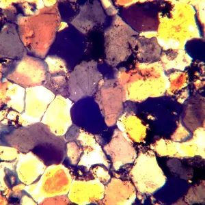 Микроскоп поляризационный MAGUS Pol 890, изображение 5