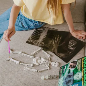 Набор 4M 00-03375 «Юный врач. Скелет человека», изображение 7