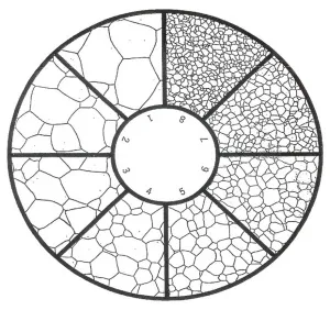 Окуляр MAGUS ESM10 10х/22 мм со шкалой стандарта ASTM E112 (D 30 мм), изображение 2