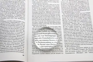 Лупа-линза Veber 4x, 60 мм (6912), изображение 2