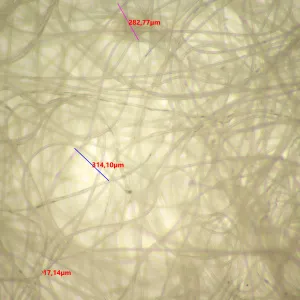 Микроскоп стереоскопический MAGUS Stereo 9T, изображение 20