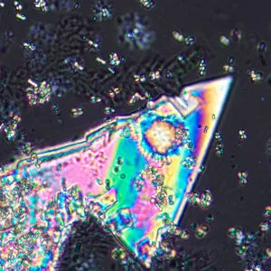 Микроскоп поляризационный MAGUS Pol 800, изображение 17