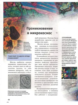 Микроскоп. Детская энциклопедия Levenhuk, изображение 4