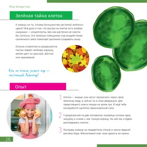 Книга знаний «Невидимый мир». Твердая обложка, изображение 4