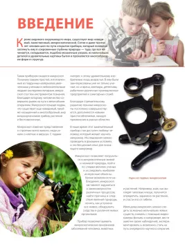 «Удивительный микроскоп: иллюстрированный путеводитель», Мазур О.Ч., изображение 2