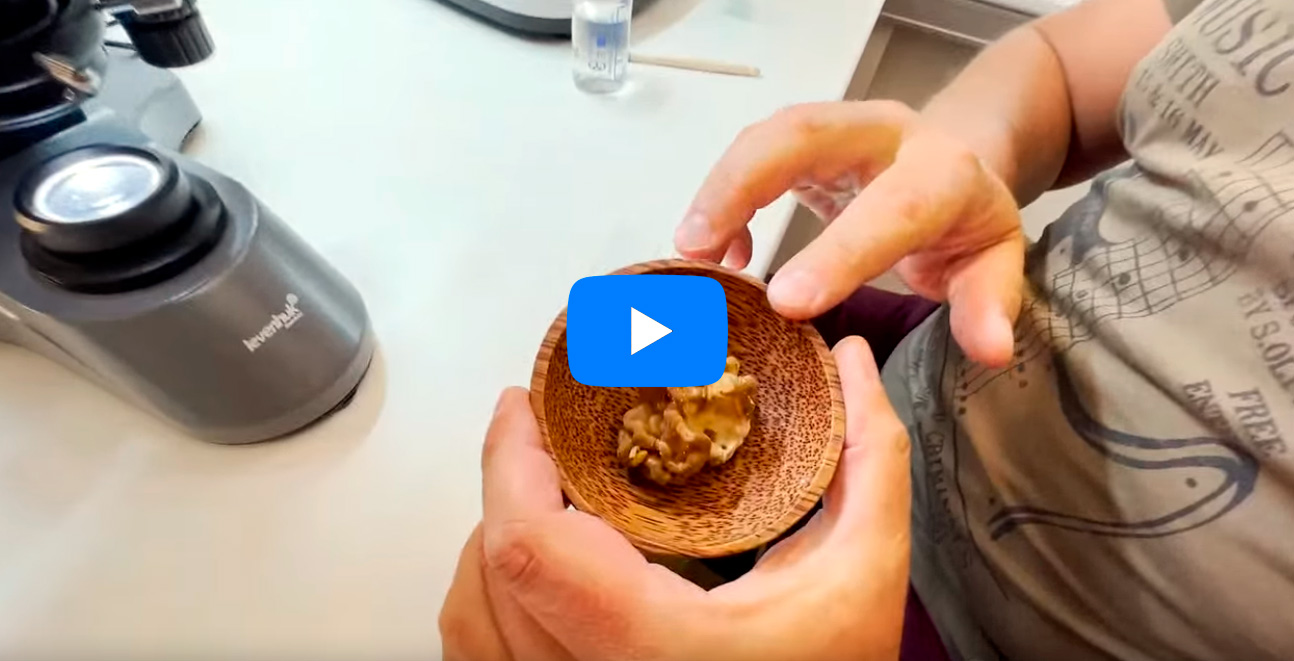 Levenhuk в блоге Михаила Вишневского