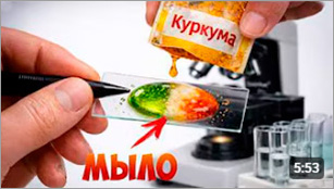 Эксперименты под микроскопом